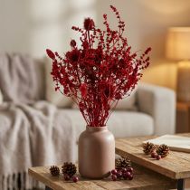 Product Dried flower bouquet, wine red, decorative thistle, 40cm, 80g