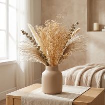 Product Baby's Breath White Dried Flowers Gypsophila 50cm 55g