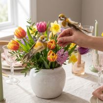 Product Bird decorations for festive table decorations. Versatile bird stakes, 10cm, 12 pieces.