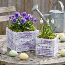 Product Plant drawer with handle purple white wood 12/15cm set of 2