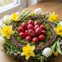 Product Quail egg red 3cm Easter decoration 50 pcs
