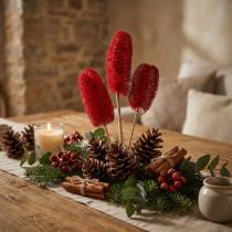 Product Luffa large on a stick red 25 pcs