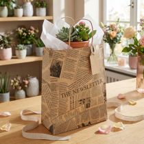 Product Paper carrier bags paper bags gift bags 18x9cm newspaper 50pcs