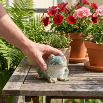 Product Frog figurine, summer decoration made of ceramic for home and balcony, 12cm
