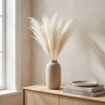 Product Dried flowers, silver grass. Elegant natural decoration for home and office. 70cm, 10 pieces.