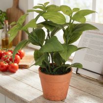 Product Artificial Basil in Pot Herb Pot Artificial Plant 22cm 2pcs