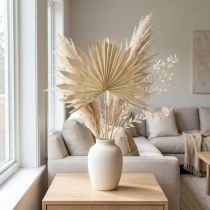 Product Palmspear Sun Natural Palm Leaf Dried Natural Decoration 30 pcs