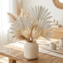 Product Palmspear Sun mini whitewashed 50 pcs
