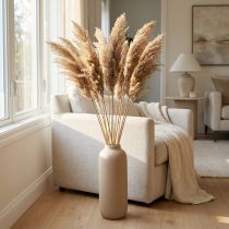 Product Dried grasses, sedge, natural, 75cm, dried flower decoration, 10 pieces