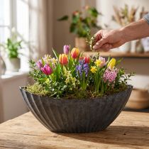 Product Plant bowl with grooves oval boat anthracite 36cm