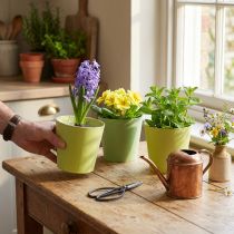Product Paper cachepot, planter, pot for planting blue/green Ø13cm H12.5cm 4pcs