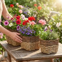 Product Plant basket, natural container for planting, square flower bowl natural L29.5/26/23cm H21/19/16cm set of 3