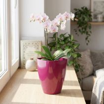 Product Orchid pot glossy Ø12.5cm cherry 1 pc
