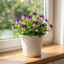 Product Plastic pot “Irys” white Ø15cm H13cm 1 pc