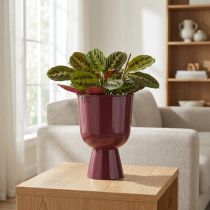 Product Goblet Flower Pot cup-shaped Modern style decor for home and office 23cm