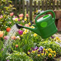 Product Watering can 10l May green