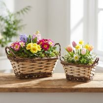 Product Planter decorative basket, square, natural color 21 × 16/16 × 13cm, set of 2