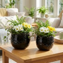 Product Flowerpot Ceramic Egg Black Plant Pot Black Ø12cm 2pcs