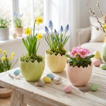 Product Easter egg motif flower pot for stylish spring decoration in your home, 10cm, 3 pieces