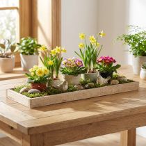 Product Decorative tray oblong wooden tray natural 42×14×3cm 3pcs