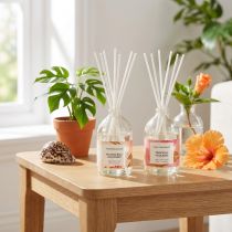 Product Room fragrance diffuser with exotic coconut and mango scent for long-lasting freshness at home, 19cm, 2 pieces