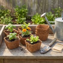 Product Growing pots coconut fibre flower pot natural material coconut plant pot 11cm 12pcs