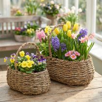 Product Plant basket with handle basket flower basket L23/35cm set of 2