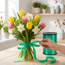 Product Gift ribbon 10mm grass green 250m