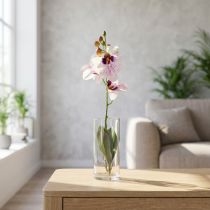 Product Artificial Phalaenopsis Orchid, White and Purple, 43cm