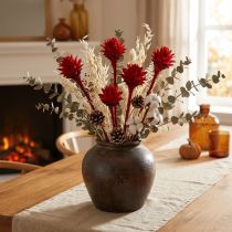 Product Plumosum 1 Red 25 pcs