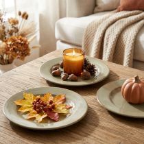 Product Small plates for decoration or presentation, 17cm, 6 pieces