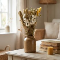 Product Dried flower bouquet straw flowers Phalaris white yellow 30cm