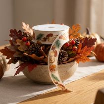 Product Decorative ribbon with mushroom and autumn leaf motif, 25mm wide, 18m long