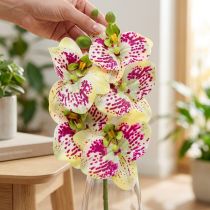 Product Artificial orchid branch Phaelaenopsis Green Pink H49cm