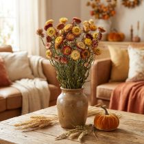 Product Strawflower Helichrysum Dried flower Yellow Red 50cm 60g