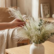 Product Dried flowers deco feather grass dry grass nature 50g
