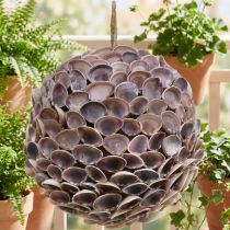 Product Shell ball Sea shell decor for hanging Marine decoration Ø18cm