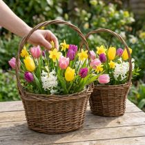 Product Oval willow planting basket with handle, brown, 28/24cm, set of 2