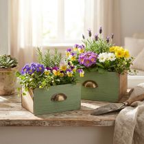 Product Planter Wooden Drawers Decoration 22/18cm Set of 2