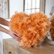 Product Feathers Orange for Crafting Spring Easter 5-10cm 20g