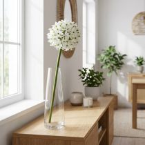 Product Decorative flower Allium, artificial ball leek, ornamental onion white Ø20cm L72cm