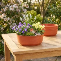 Product Z-bowl plastic Ø22cm 10 pcs