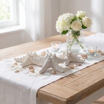 Product Starfish decoration large dried white knobbed starfish 15-18cm 10 pcs