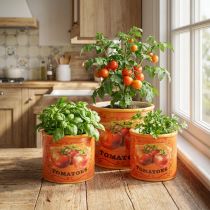Product Tomato Plant Pot Set, Ceramic Decorative Flower Pots for Kitchen and Retro Decor, 14cm, Set of 3