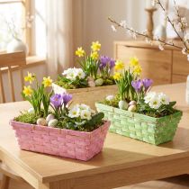 Product Spring baskets square multicolored 25x12x9cm 6 pcs