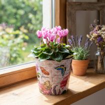 Product Flower pot flower pot plastic Ø15.5 × H13cm