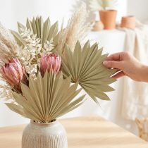 Product Palmspear Sun mini nature 50 pcs