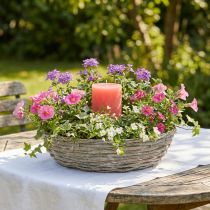Product Willow planter, white, natural look, decorative ring for creative garden design, Ø35/30cm, set of 2, versatile