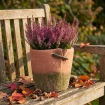 Product Concrete flower pot planter terracotta pot Ø18cm H17cm