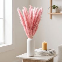 Product Dry Grass Pink Decorative Reed Grass Pampas 70cm 10 pcs